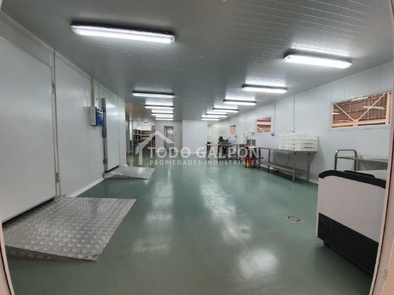 Venta de Galpón Industrial - Semiindustrial ( Mixta ) - El Trebol - Padre Hurtado.